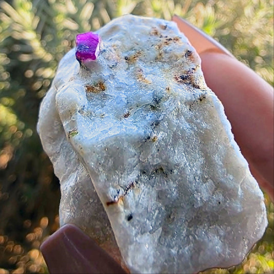 Raw ruby in marble specimen held in hand, showing a bright magenta ruby crystal and small golden pyrite flecks on a white matrix.