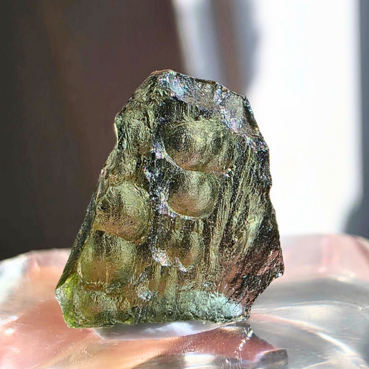 Genuine Moldavite in Case - Czech Republic 0.42g