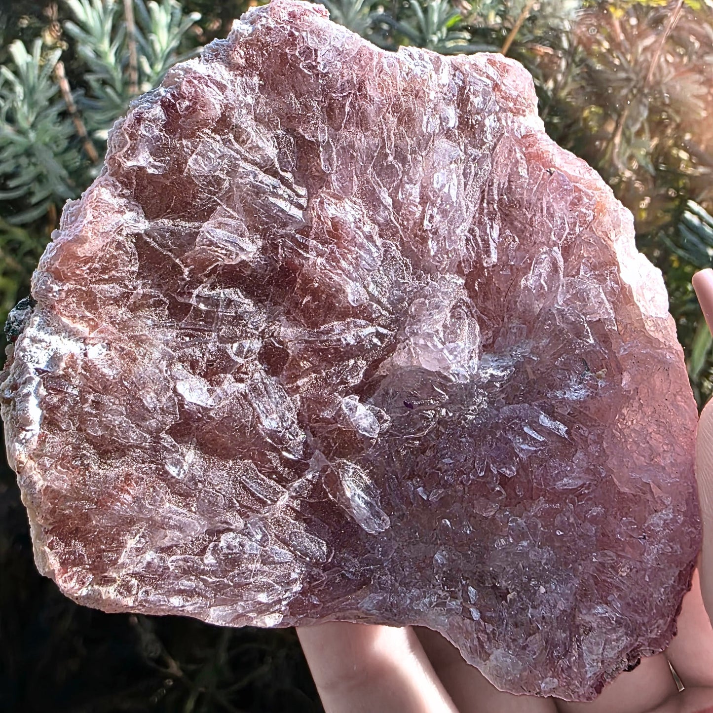 Rare Radiating Flower Amethyst Cluster