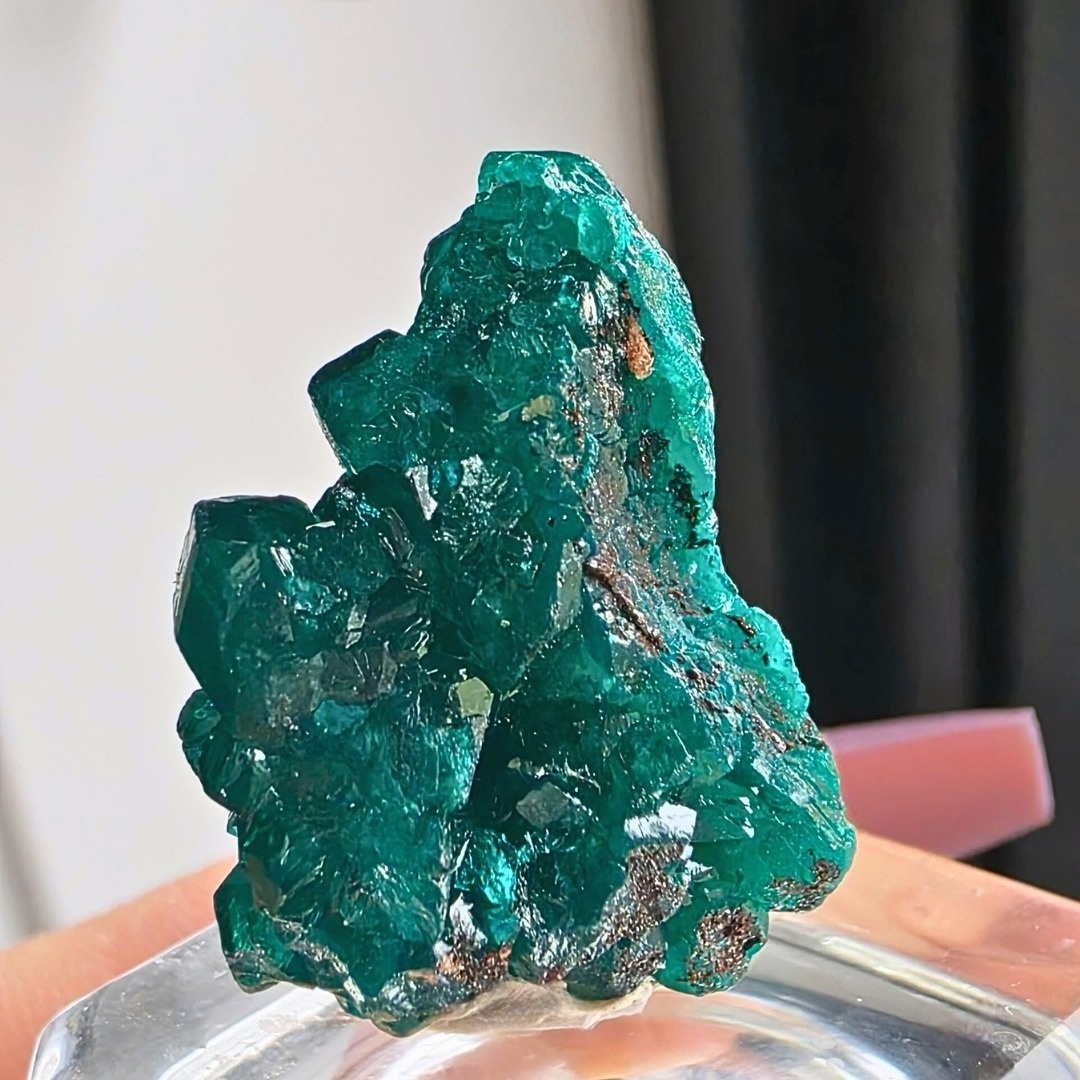 Rare Dioptase Collector's Crystal Specimen - Congo