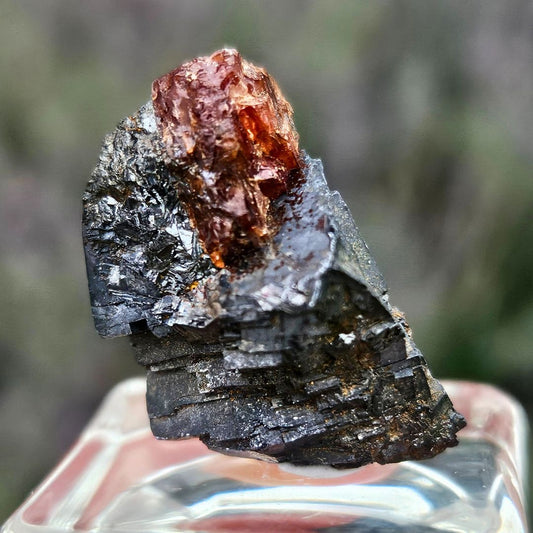 Galena with Rhodonite Micro Specimen (2) - Broken Hill NSW