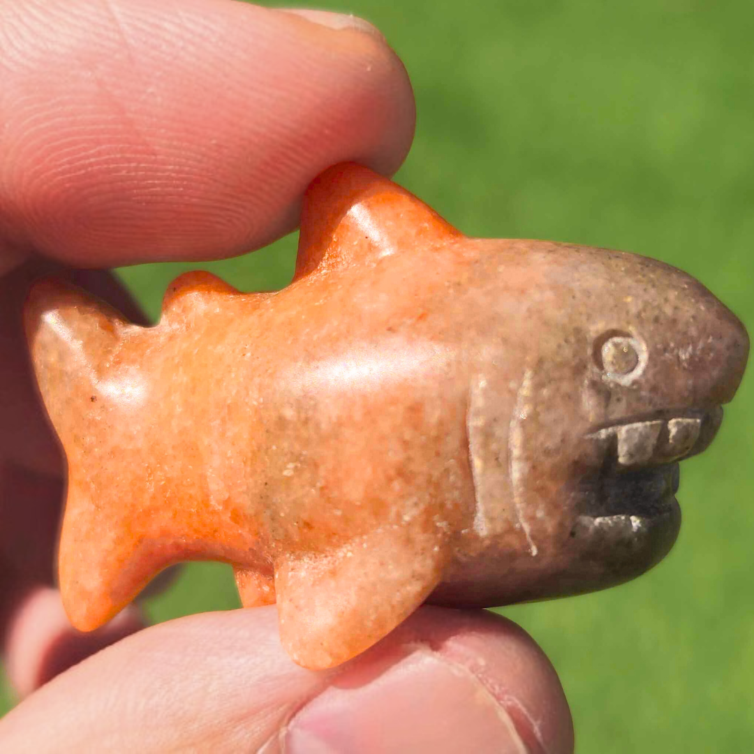 Sunstone & Smoky Quartz Shark Carving with Actual Teeth