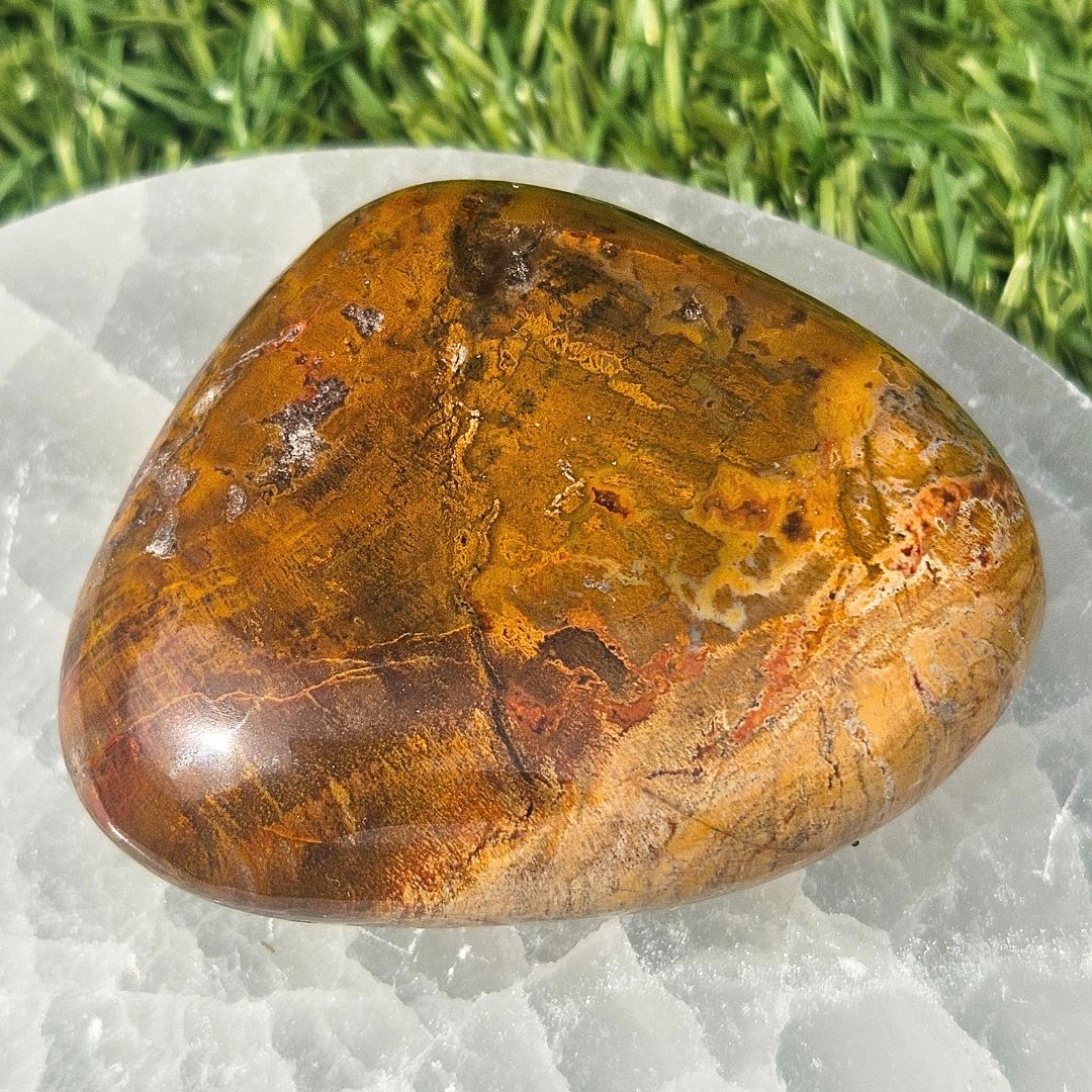 Brecciated Jasper Palm Stone