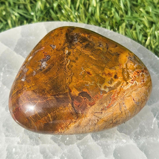 Brecciated Jasper Palm Stone