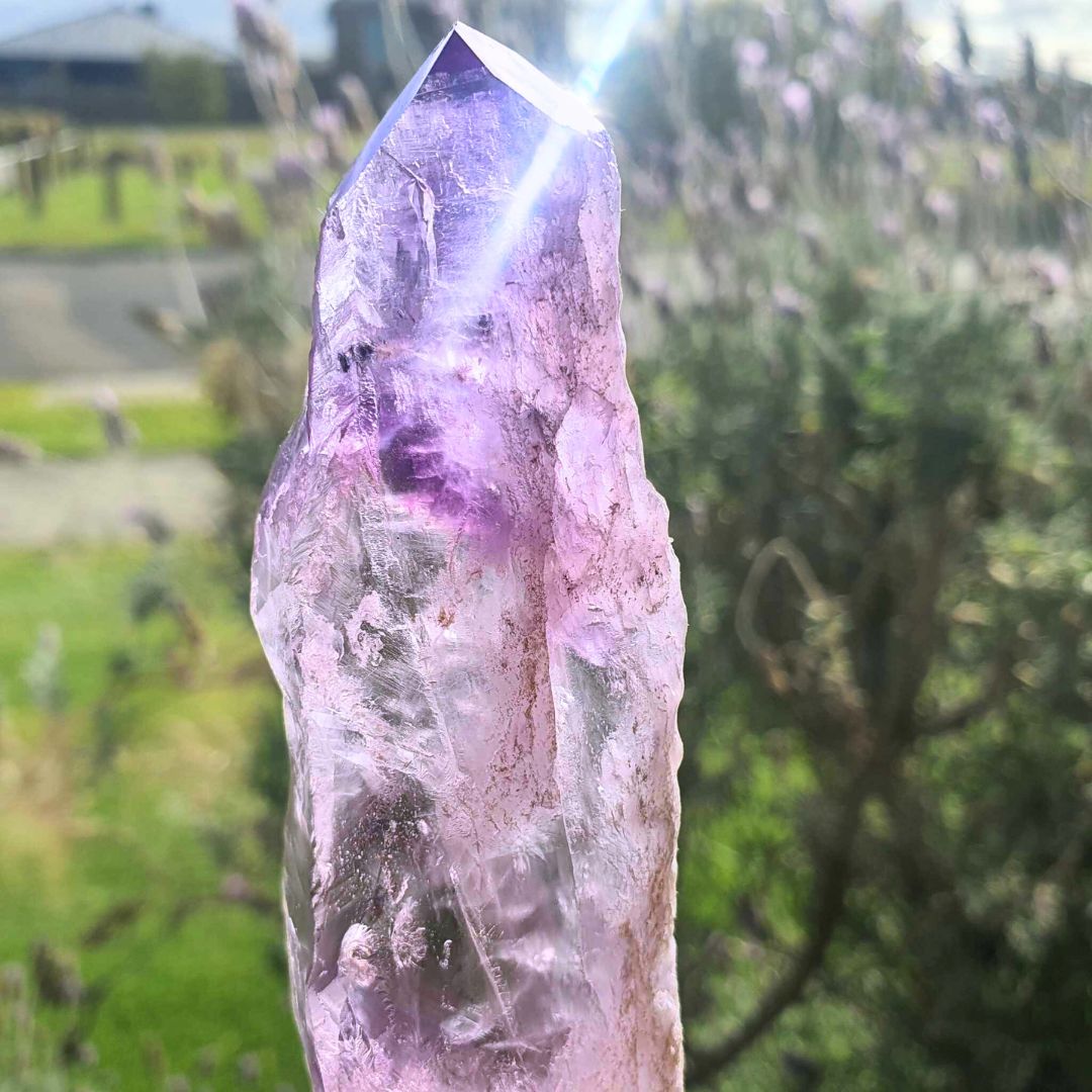 Amethyst Tooth Natural Wand ~13cm long