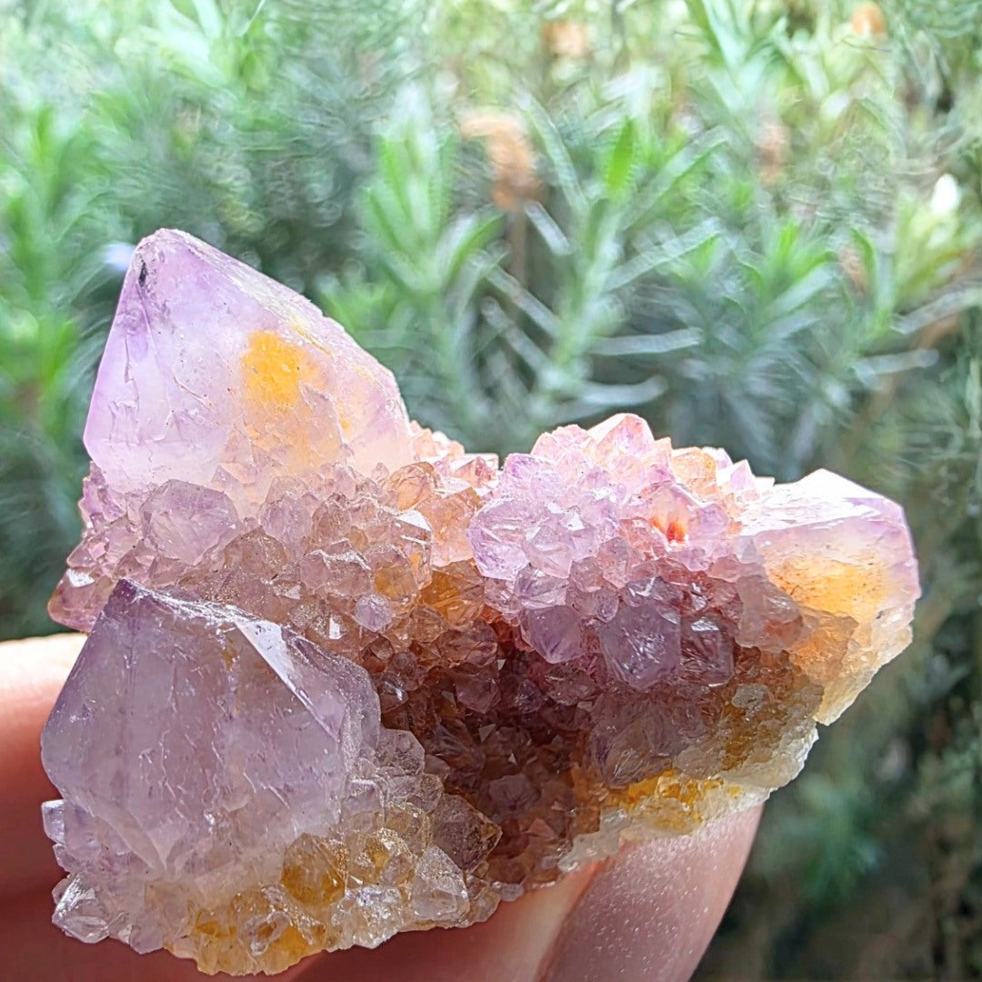 Fairy Quartz (Spirit Quartz) & Golden Hematite Cluster