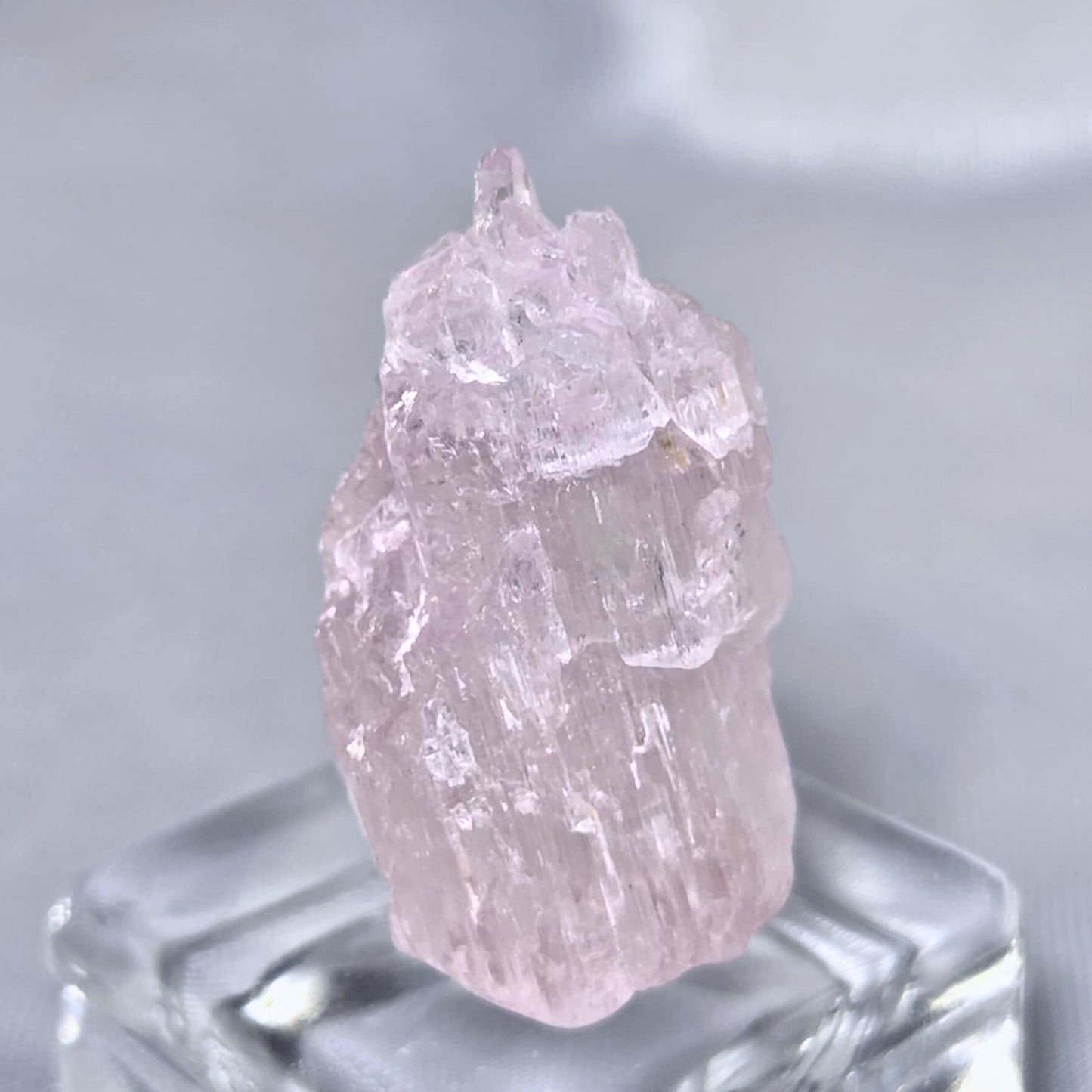 Kunzite (Spodumene) Crystal Specimen - includes case