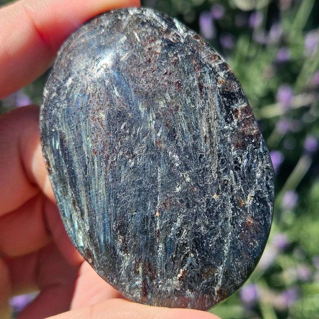 Fireworks Stone Palm Stone