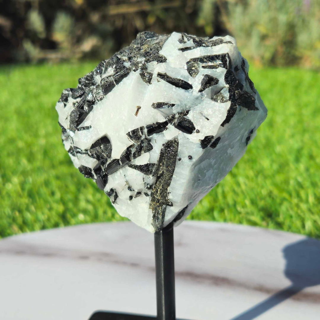 Black Tourmaline in Quartz on Metal Stand