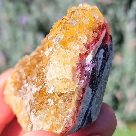 Bi-Color Fluorite Cluster (Yellow & Purple)