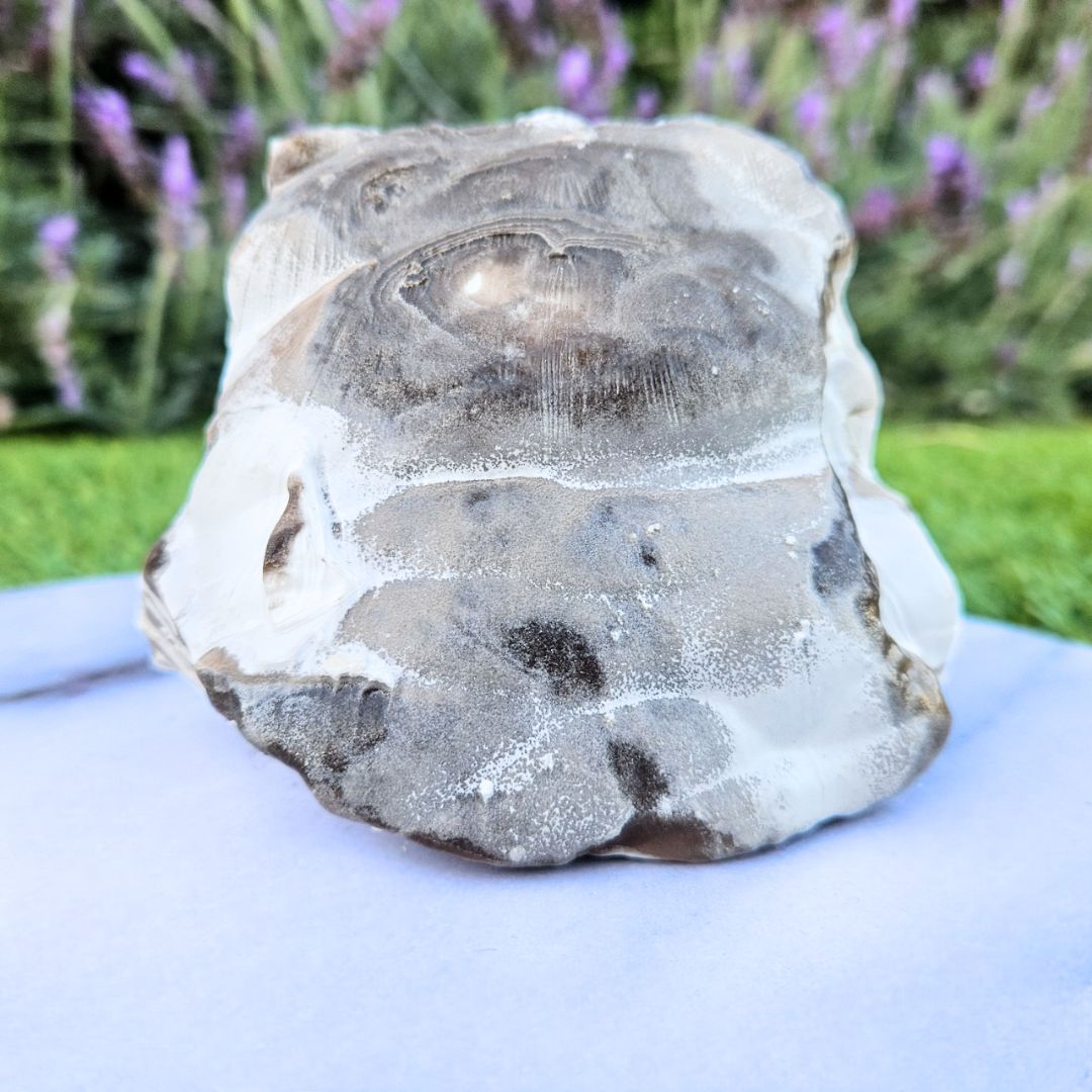 Large Zebra Calcite Raw - 631g