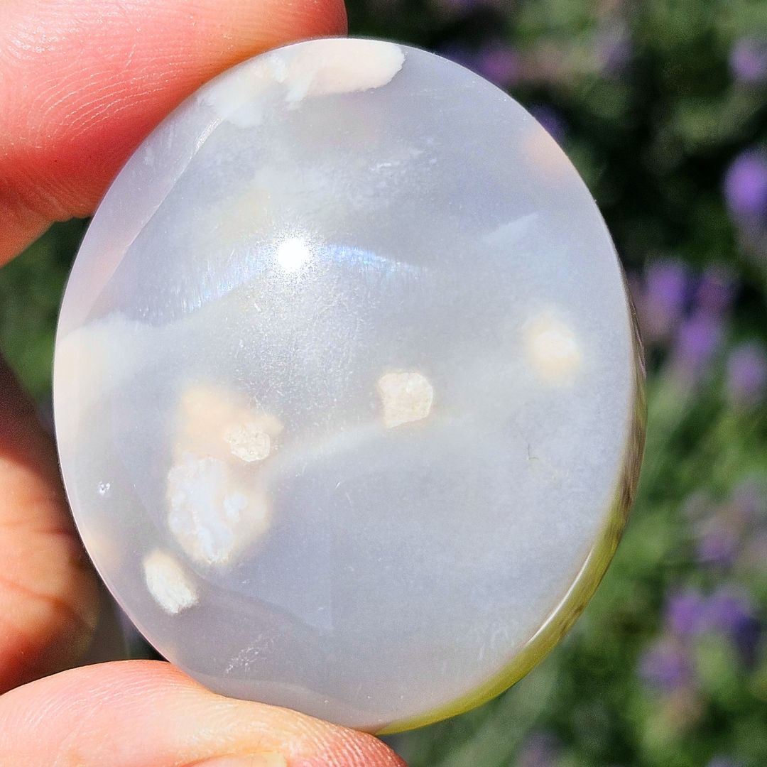 Flower Agate Palm Stone