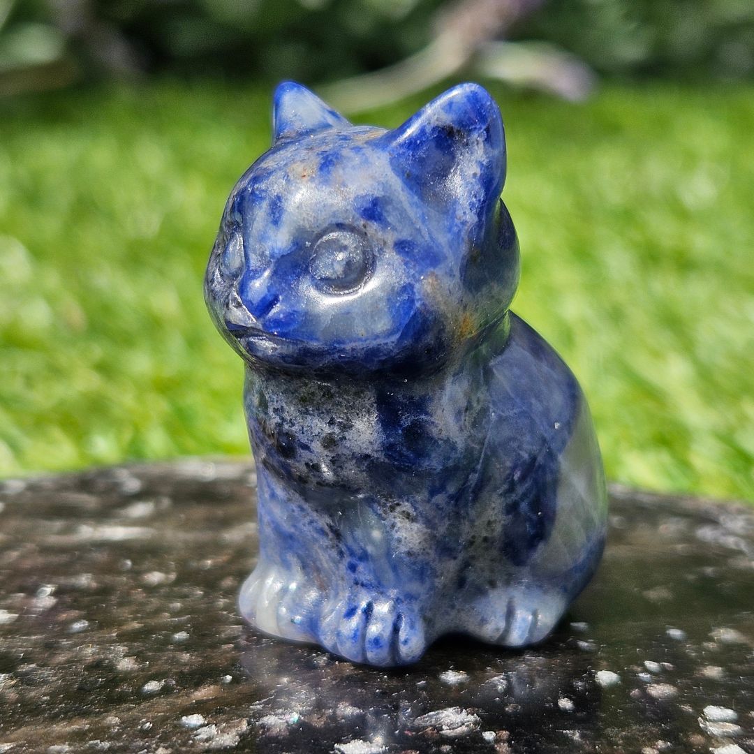 Sodalite Mini Cat Carving