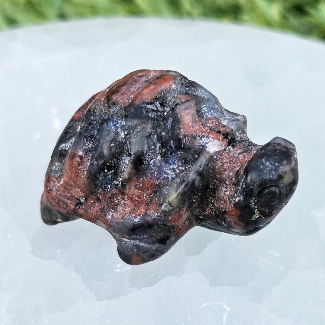 Que Sera (Rhyolite) Jasper Mini Turtle