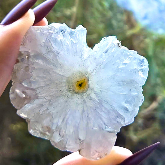 Clear Quartz Stalactite Flower with Rainbows