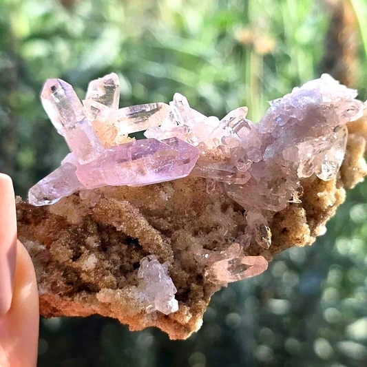 Rare Medium Vera Cruz Amethyst Cluster - 7cm