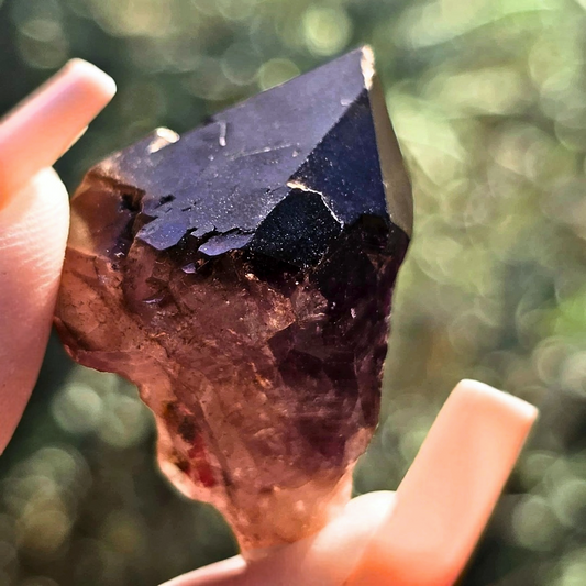 Rare Wyloo Amethyst & Smoky Quartz Tooth Crystal Point