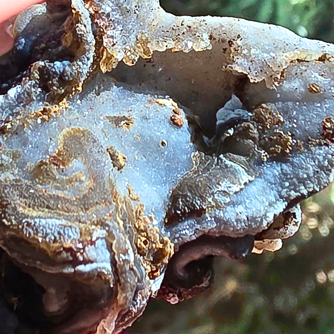 Blue Chalcedony Crystal Cluster