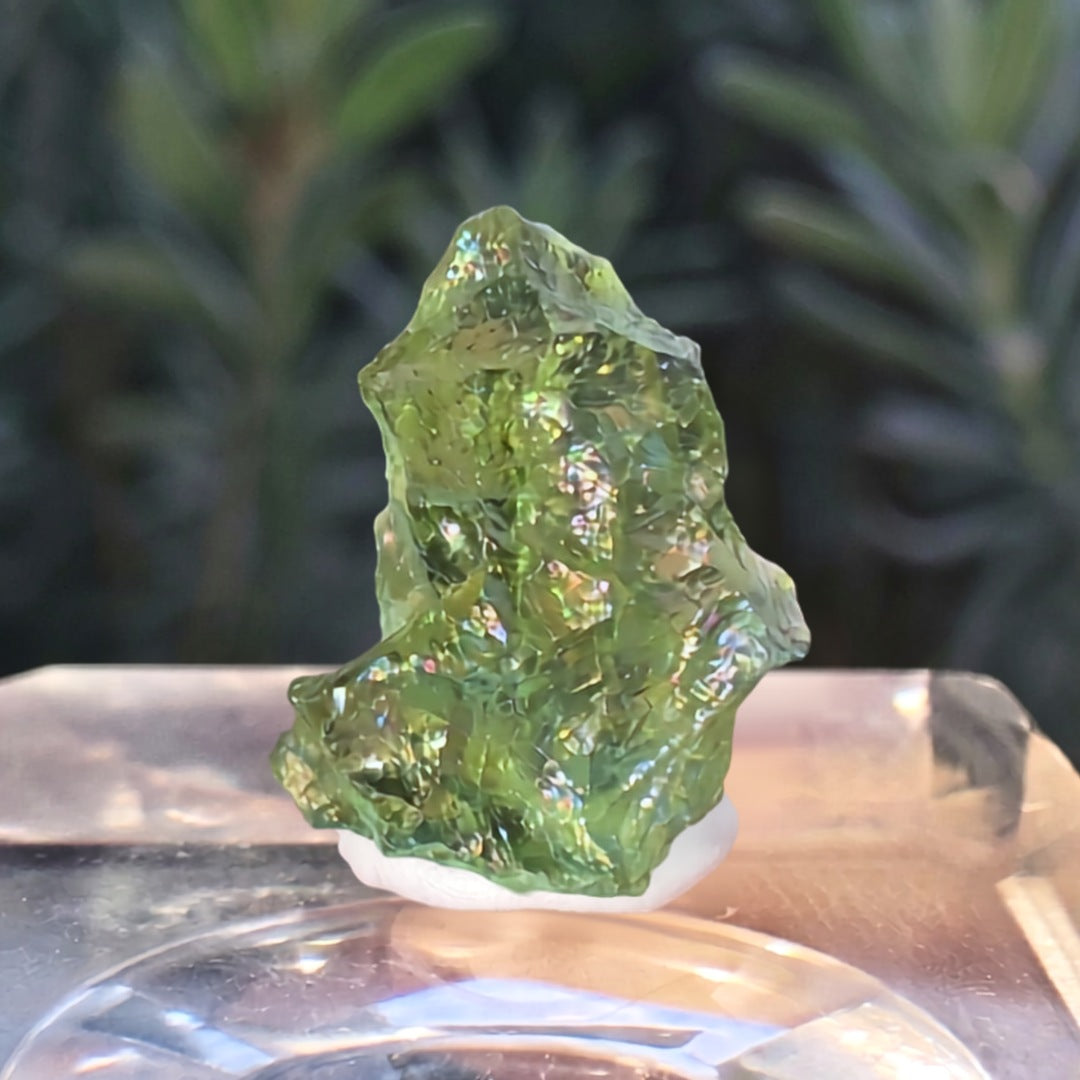 2. Genuine Moldavite in Display Case 0.21g | Czech Republic Tektite