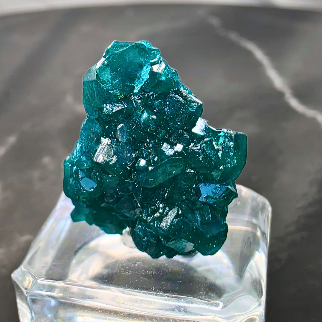 Rare Dioptase Collector's Crystal Specimen - Congo