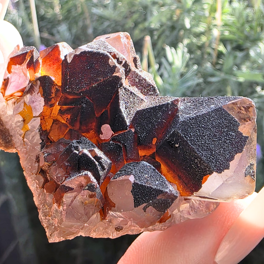 Hematite Capped Amethyst Cluster