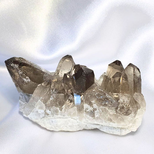 Smoky Quartz with Rutile Crystal Cluster