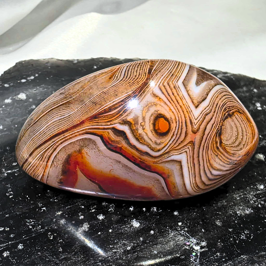 Sardonyx (Onyx & Carnelian) Palm Stone Freeform