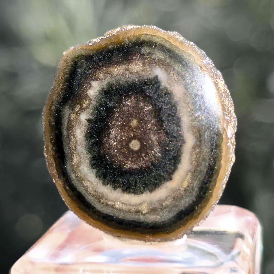 Rare Genuine Green Amethyst Stalactite Crystal