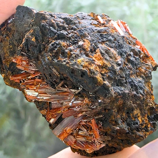 Crocoite Cluster - Dundas, Tasmania