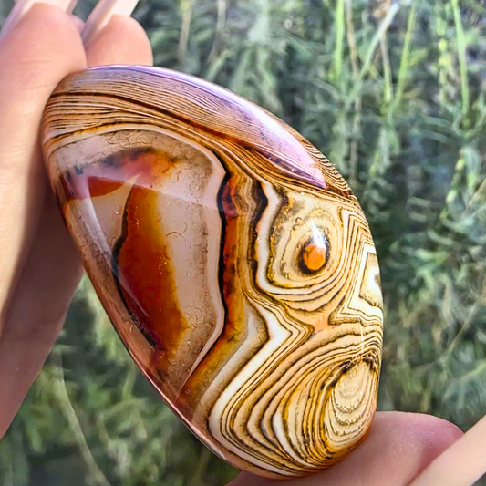 Sardonyx (Onyx & Carnelian) Palm Stone Freeform