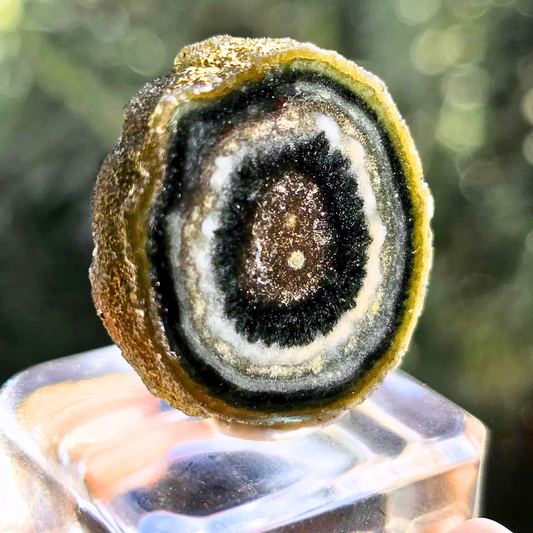 Rare Genuine Green Amethyst Stalactite Crystal