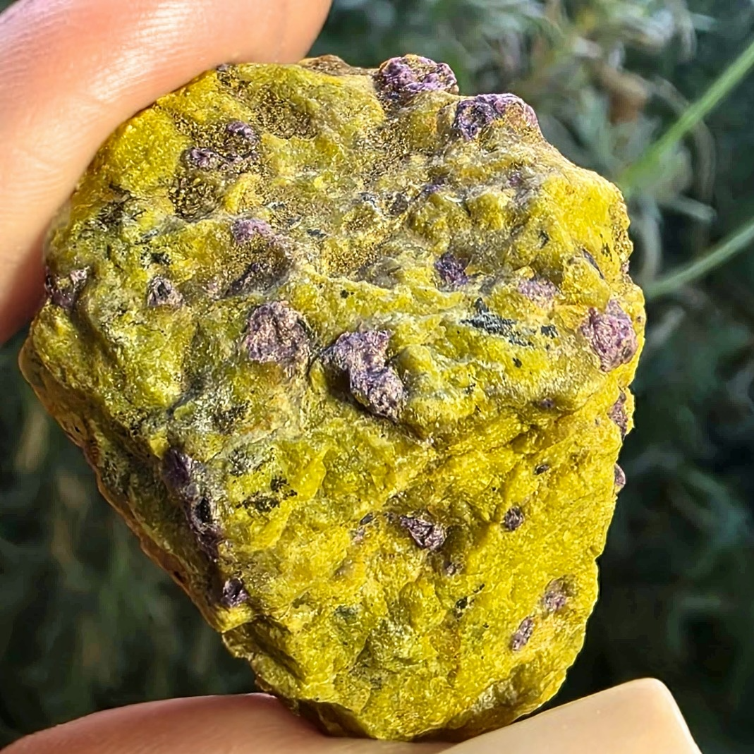 Atlantisite (Serpentine with Stichtite) Cluster - Tasmania