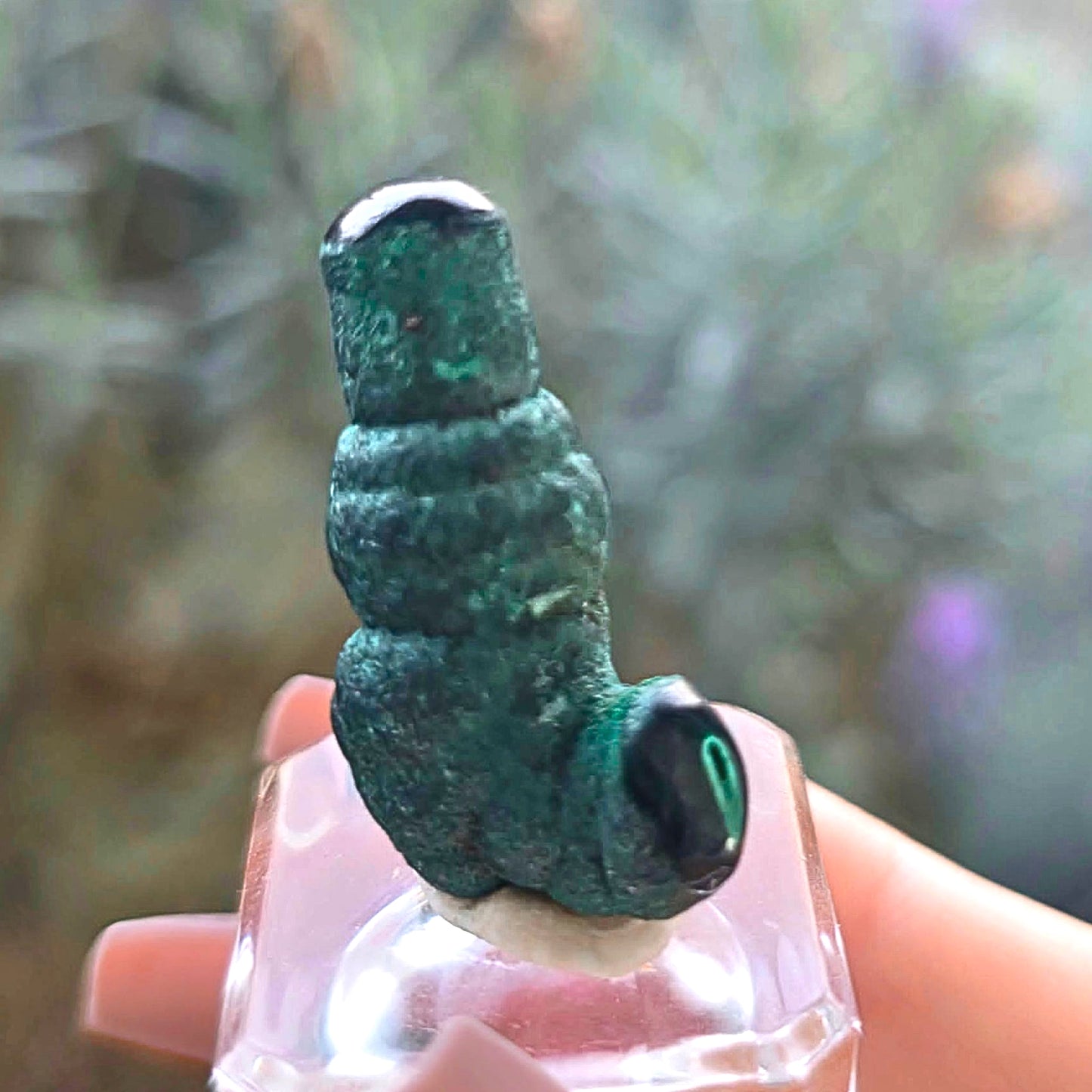 Collector Grade Malachite Stalactite Freeform | DRC