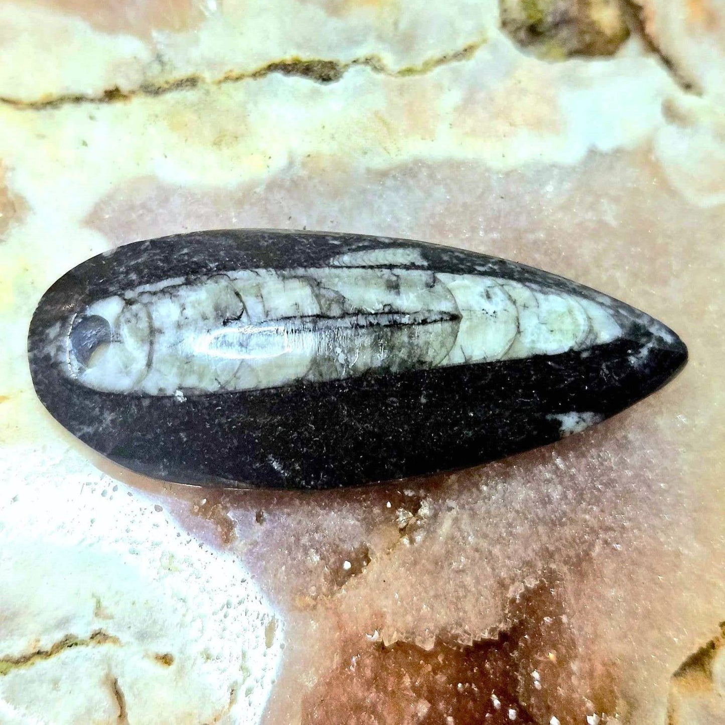 Orthoceras Natural Fossil - Pendant or Charm