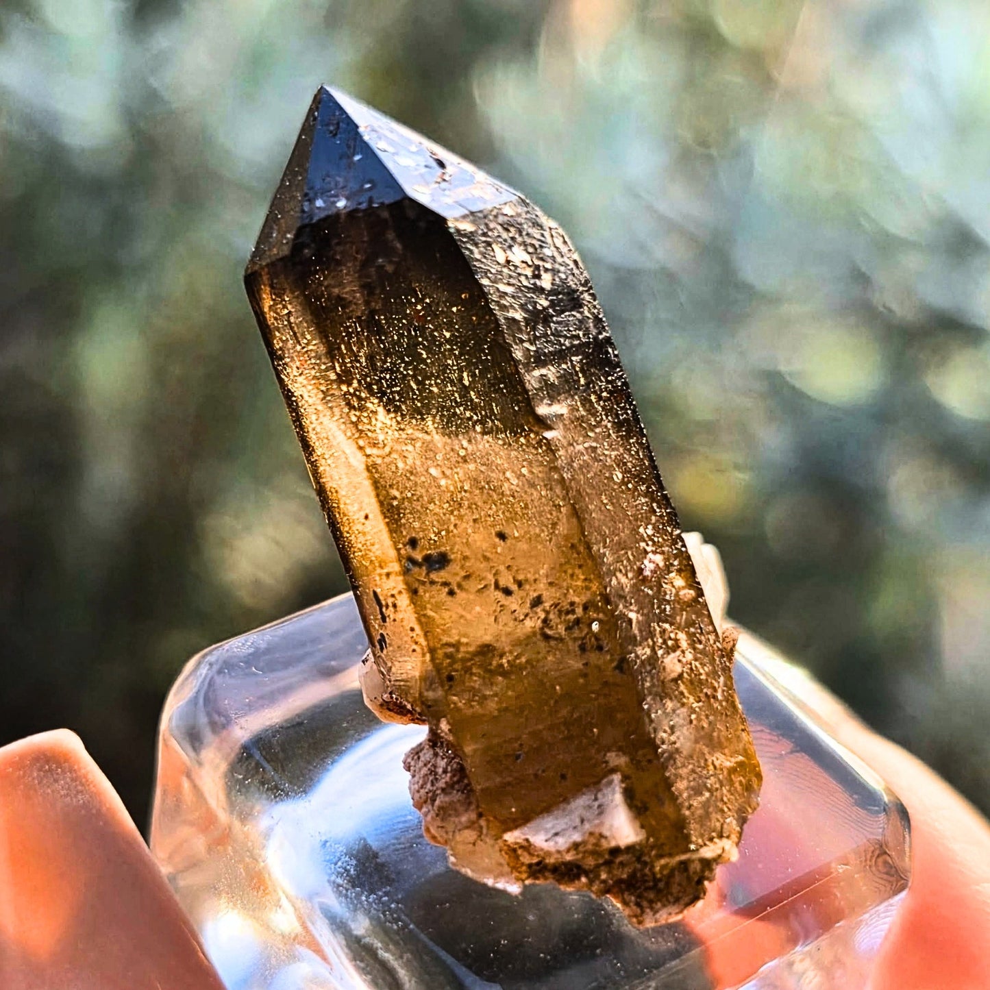 Wave Hill Smoky Quartz with Goethite on Calcite Specimen