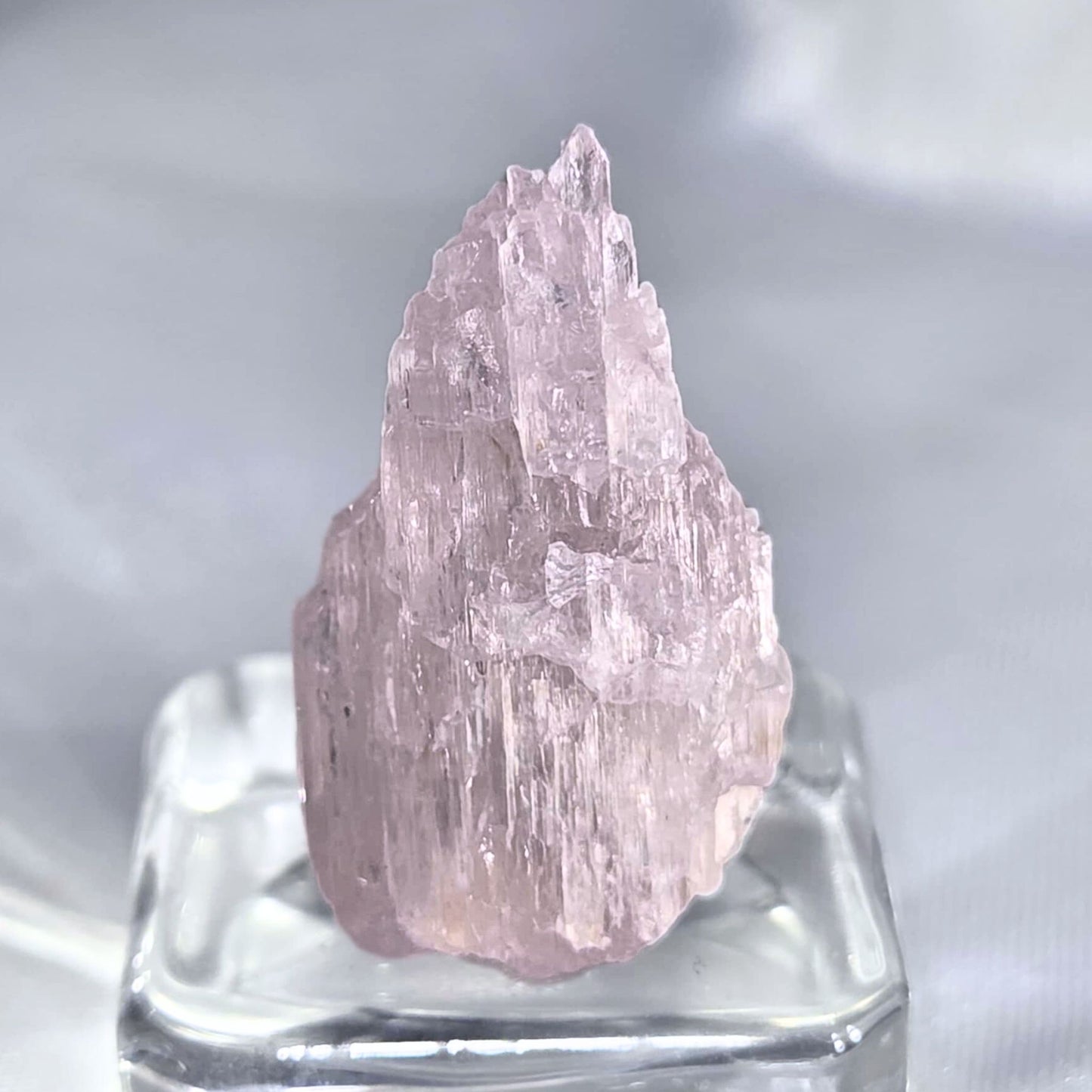 Kunzite (Spodumene) Crystal Specimen - includes case