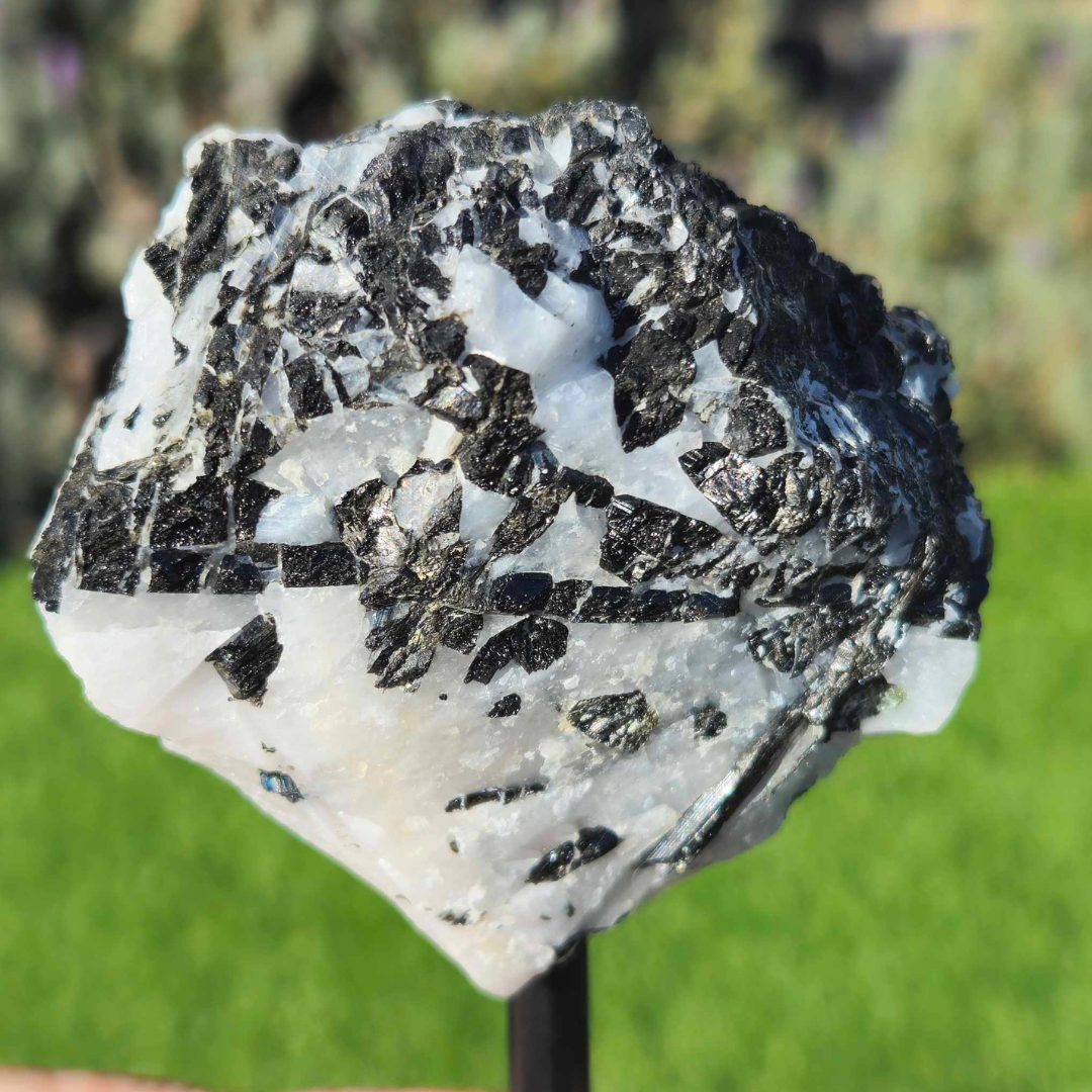 Black Tourmaline in Quartz on Metal Stand