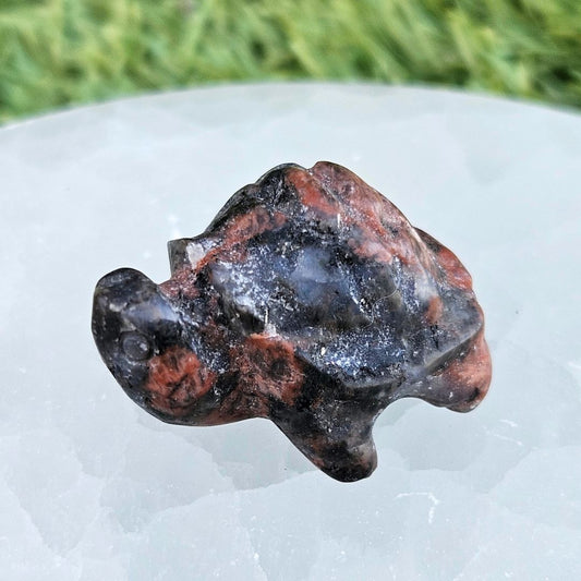 Que Sera (Rhyolite) Jasper Mini Turtle