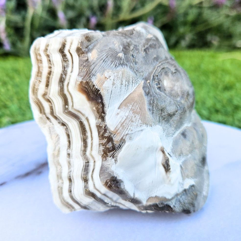 Large Zebra Calcite Raw - 631g