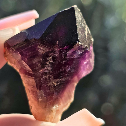 Rare Wyloo Amethyst & Smoky Quartz Tooth Crystal Point