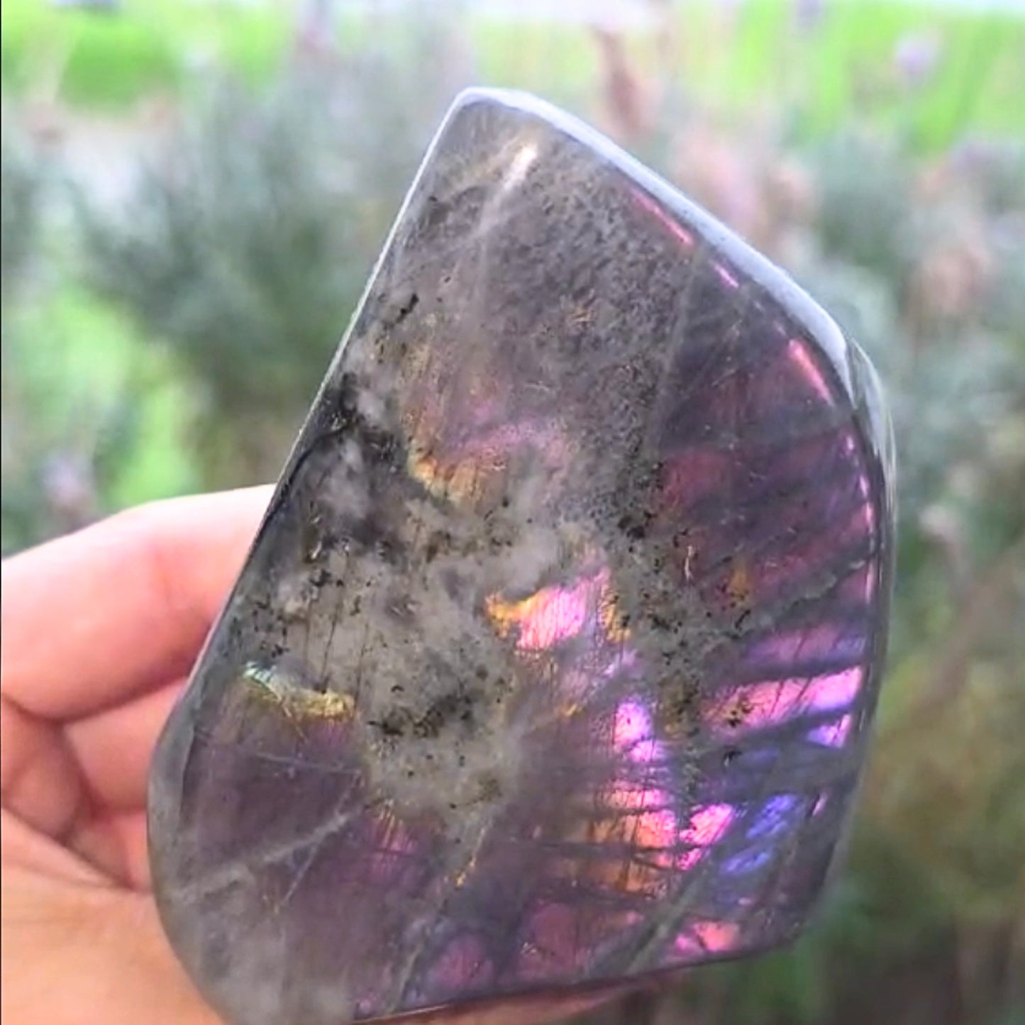 High Grade Pink Purple Flash Labradorite Freeform - 239g - Madagascar