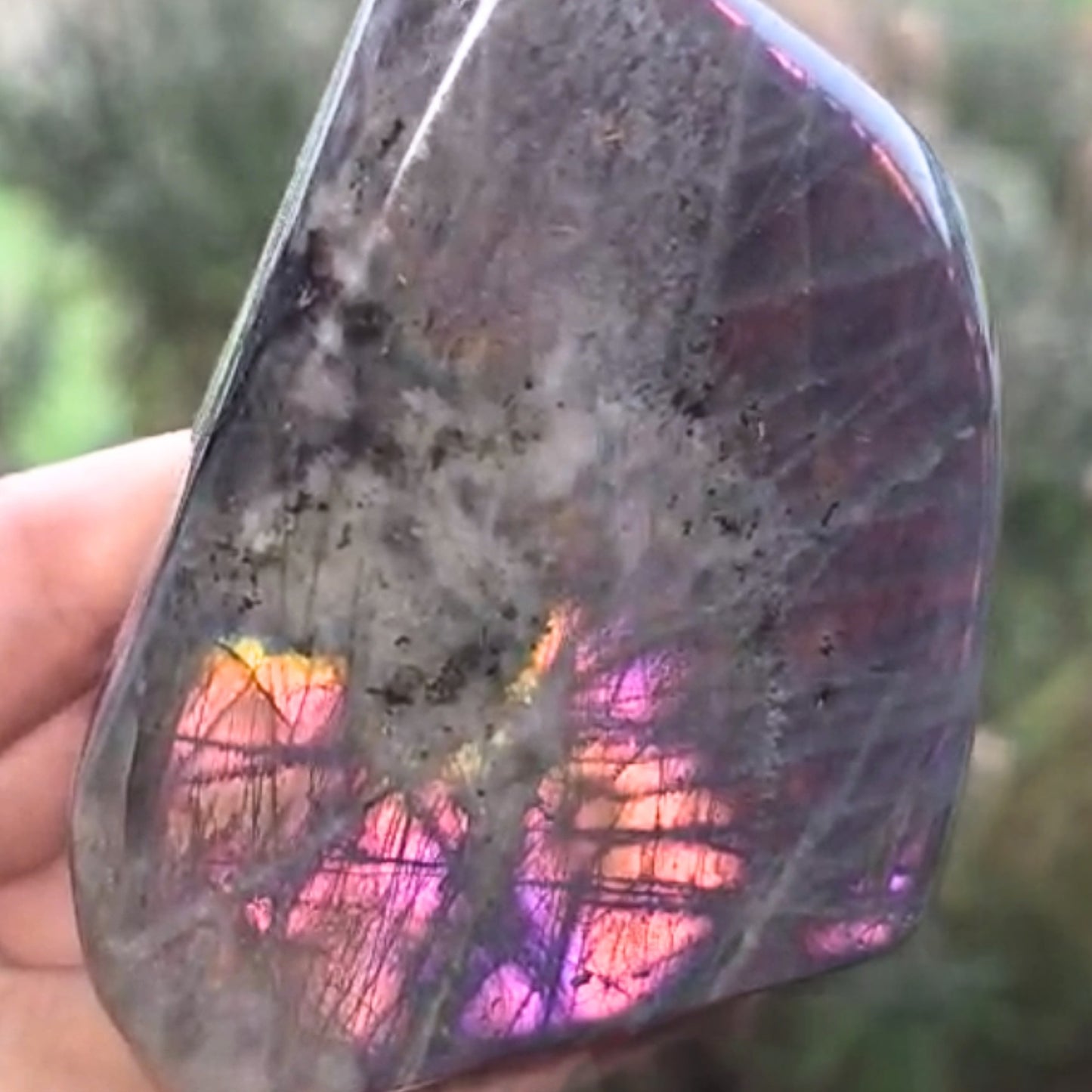 High Grade Pink Purple Flash Labradorite Freeform - 239g - Madagascar