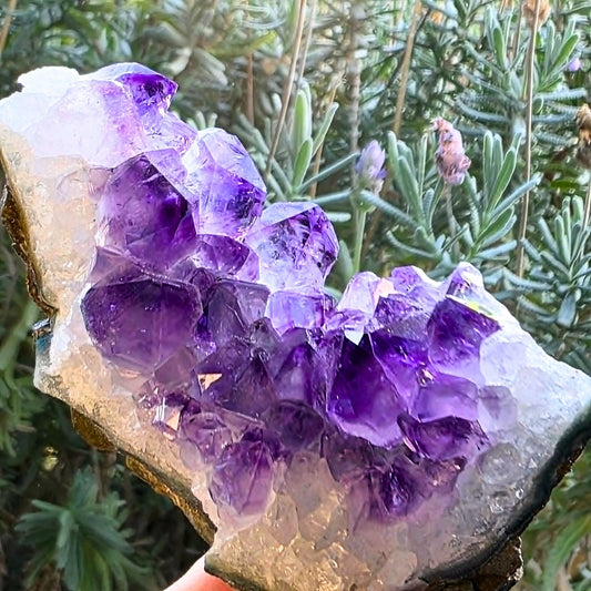 Amethyst Cluster with Large Crystal Points & Zoning