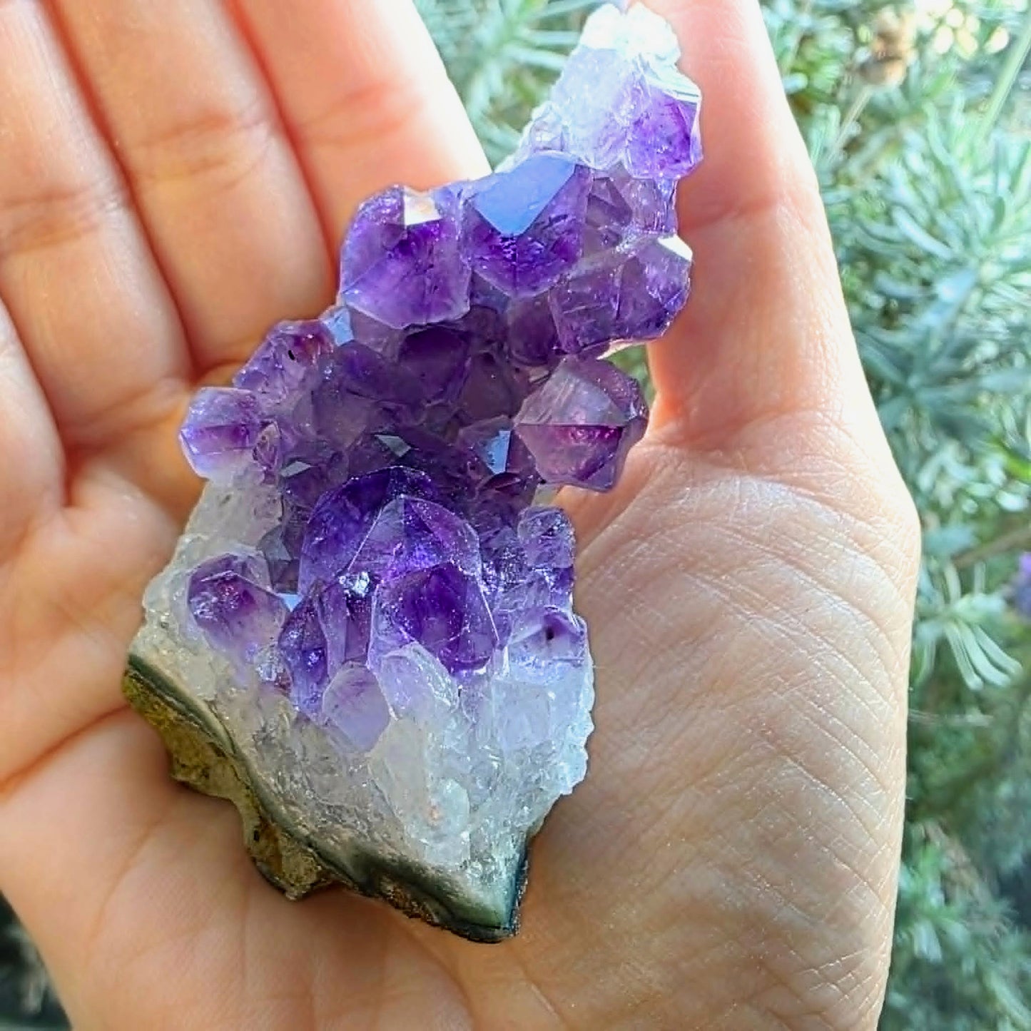 Amethyst Cluster with Large Crystal Points & Zoning