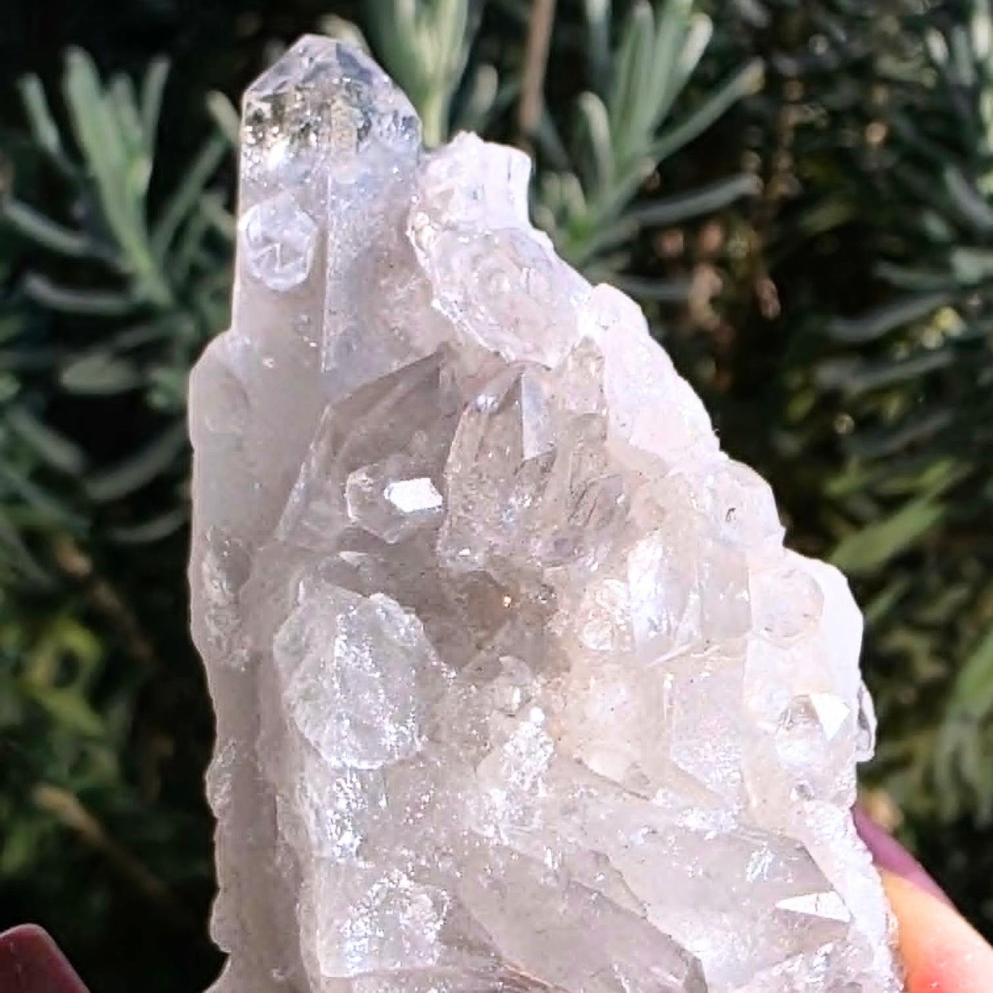 Clear Quartz Brazilian Crystal Cluster
