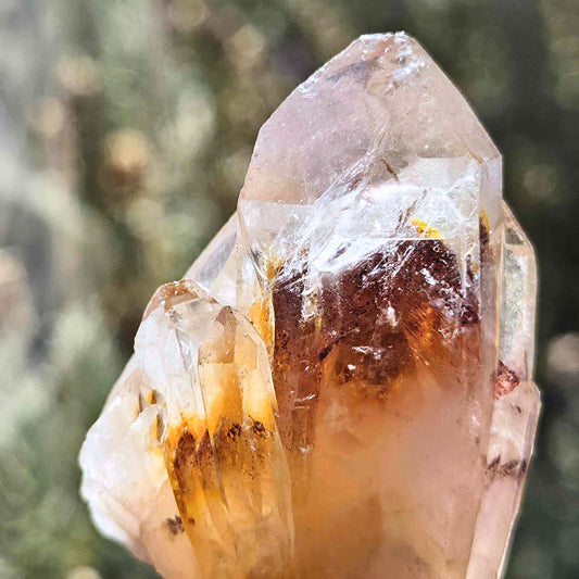 Pineapple Quartz Cluster with Phantom Golden Healer & Red Hematite Inclusions