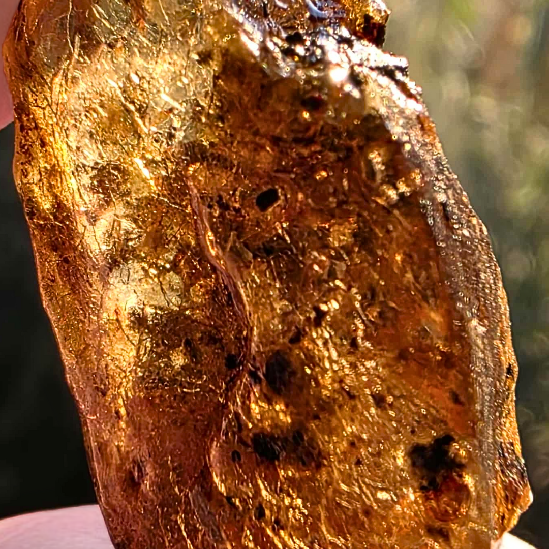 Genuine Raw Baltic Fossilised Baby Amber - UV Reactive