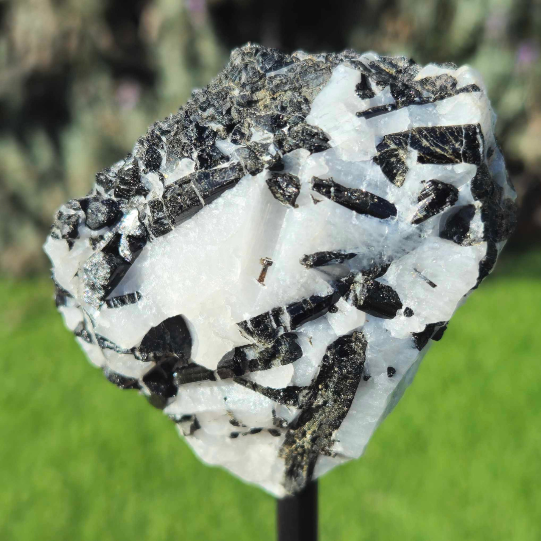 Black Tourmaline in Quartz on Metal Stand
