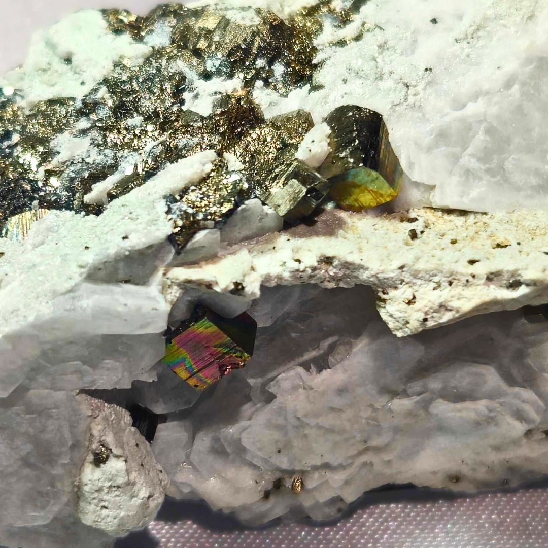 Rare Iridescent Pyrite with Angel Wing Calcite Specimen - Vera Cruz, Mexico