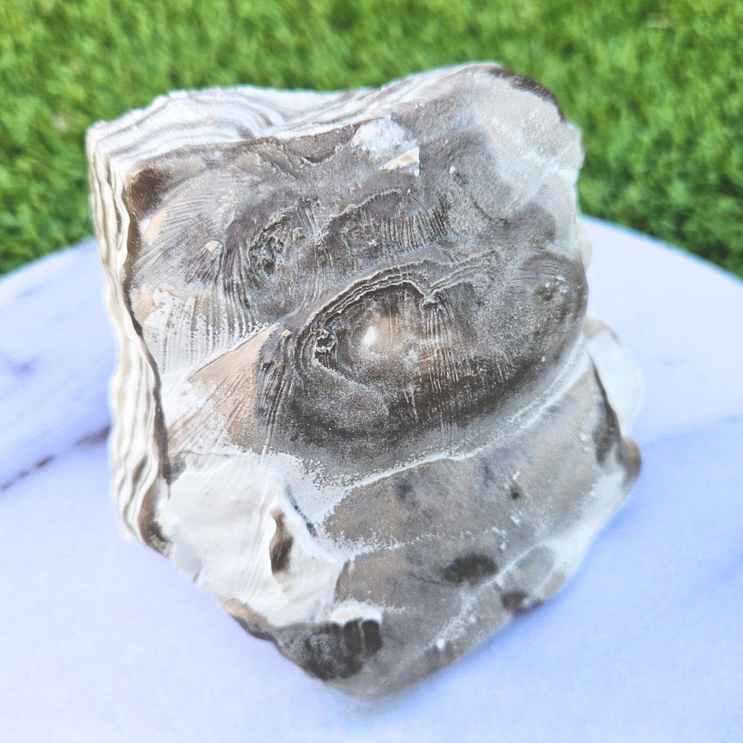 Large Zebra Calcite Raw - 631g